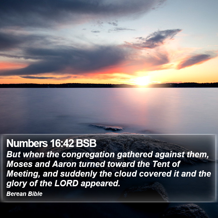 Numbers 16:42 BSB Bible Study