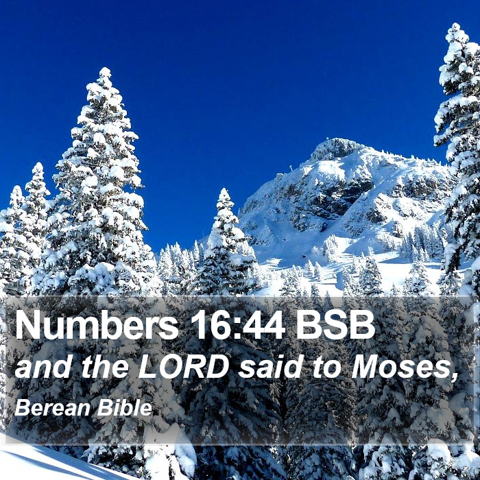 Numbers 16:44 BSB Bible Study