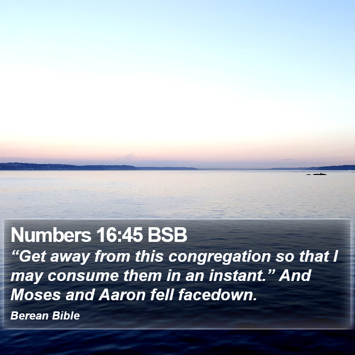 Numbers 16:45 BSB Bible Study