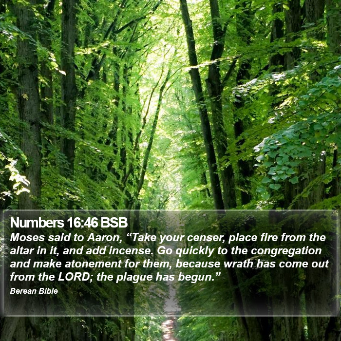 Numbers 16:46 BSB Bible Study