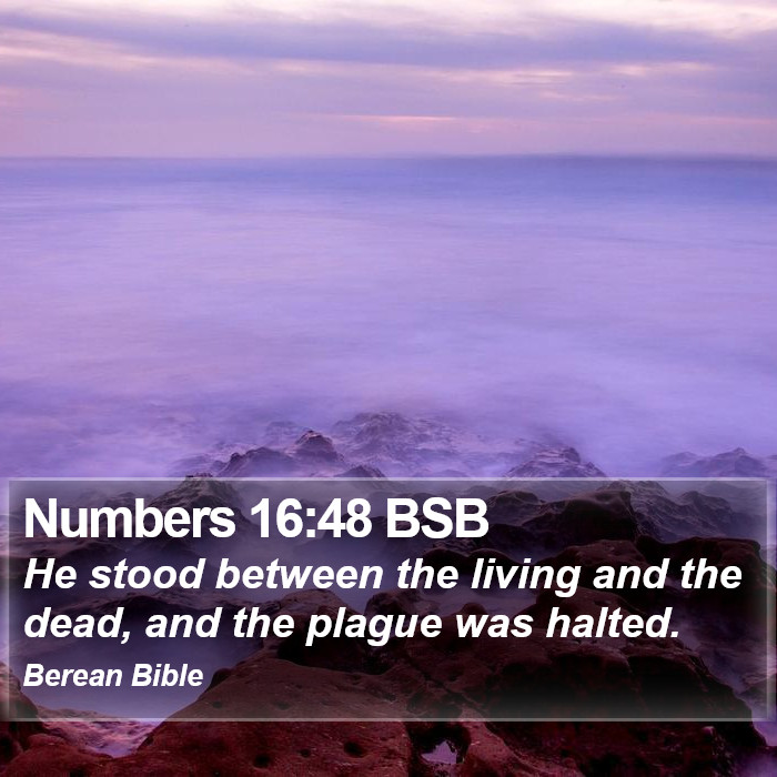 Numbers 16:48 BSB Bible Study