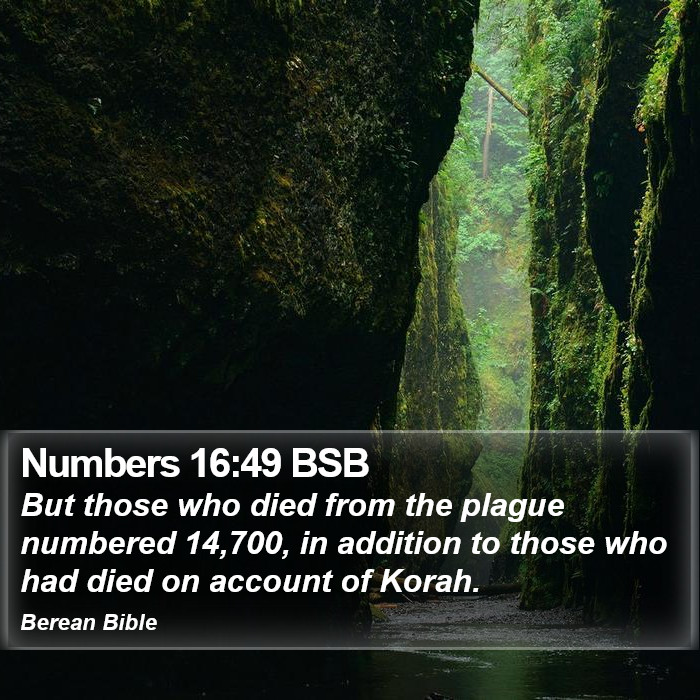 Numbers 16:49 BSB Bible Study