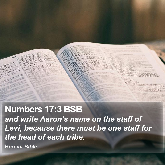 Numbers 17:3 BSB Bible Study