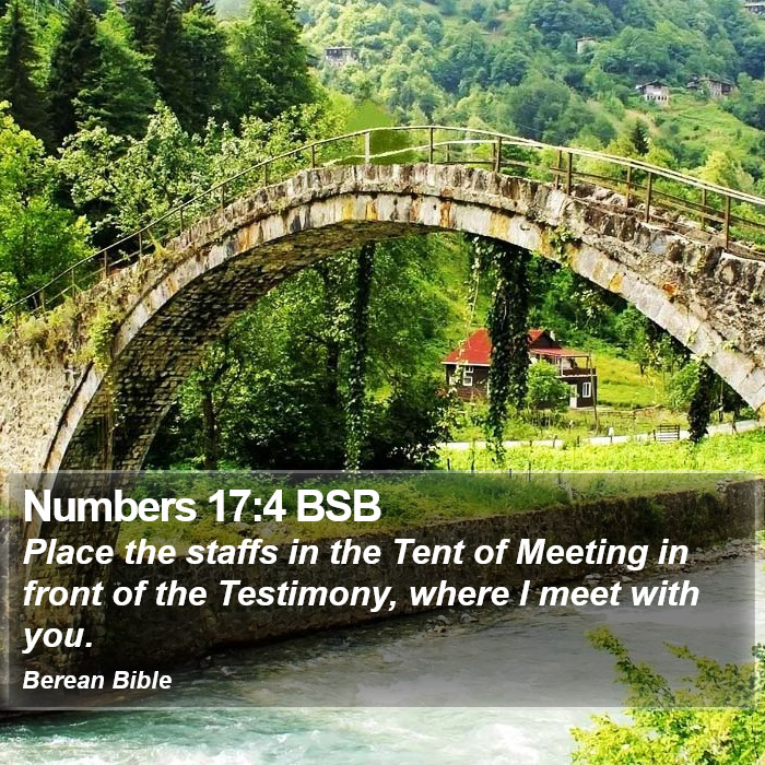 Numbers 17:4 BSB Bible Study