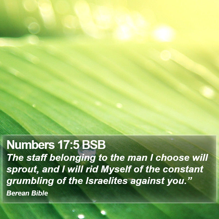 Numbers 17:5 BSB Bible Study