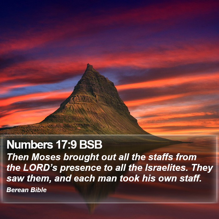 Numbers 17:9 BSB Bible Study