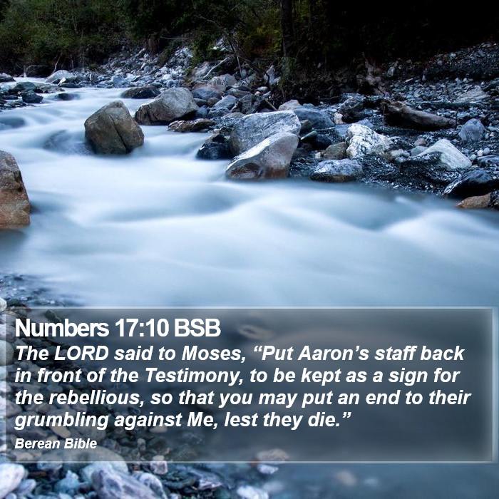 Numbers 17:10 BSB Bible Study