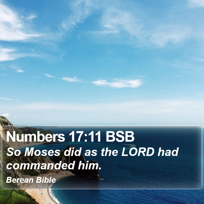 Numbers 17:11 BSB Bible Study