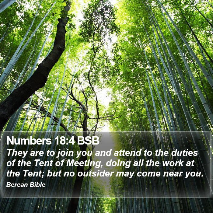 Numbers 18:4 BSB Bible Study