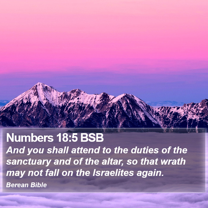 Numbers 18:5 BSB Bible Study