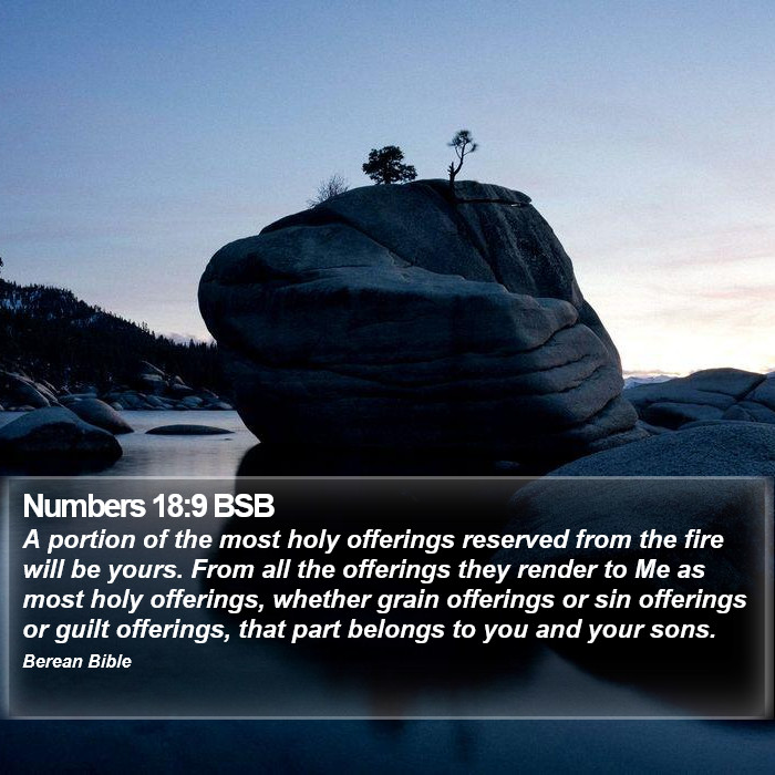 Numbers 18:9 BSB Bible Study