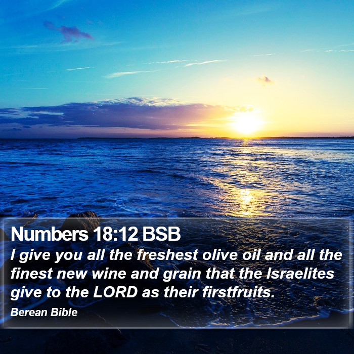 Numbers 18:12 BSB Bible Study