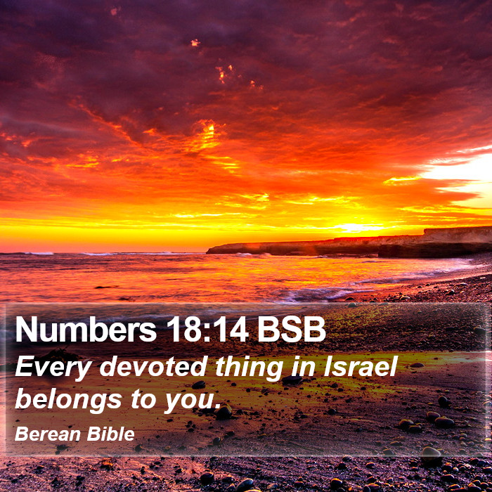 Numbers 18:14 BSB Bible Study