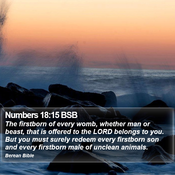 Numbers 18:15 BSB Bible Study