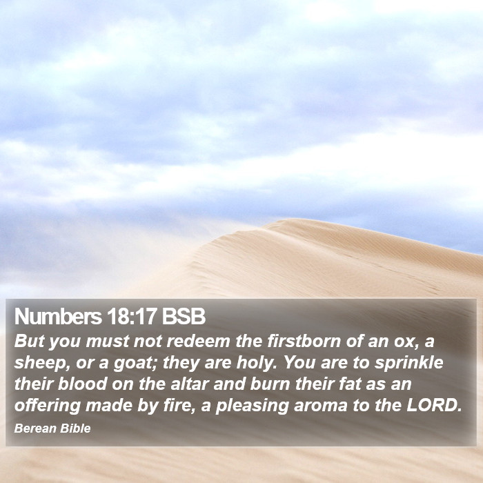 Numbers 18:17 BSB Bible Study