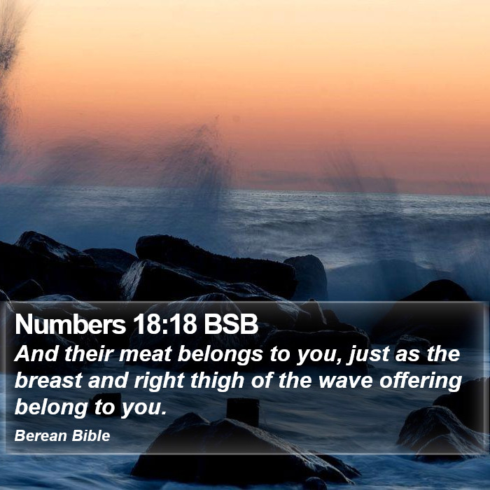 Numbers 18:18 BSB Bible Study