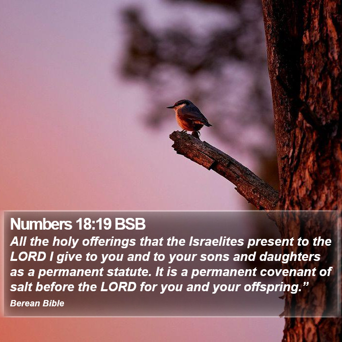 Numbers 18:19 BSB Bible Study