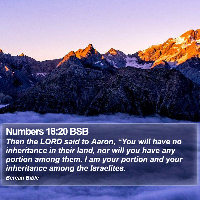 Numbers 18:20 BSB Bible Study