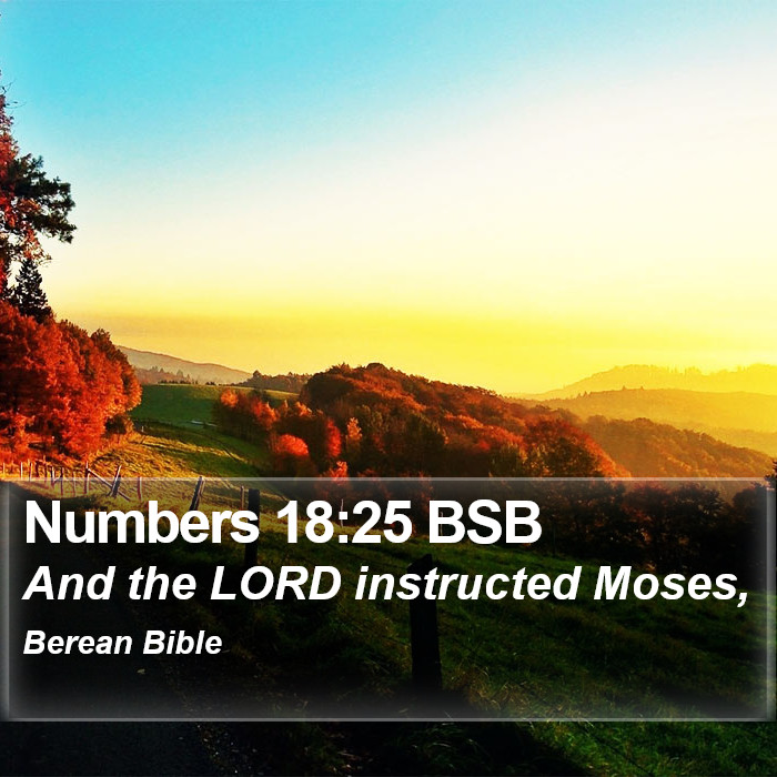 Numbers 18:25 BSB Bible Study