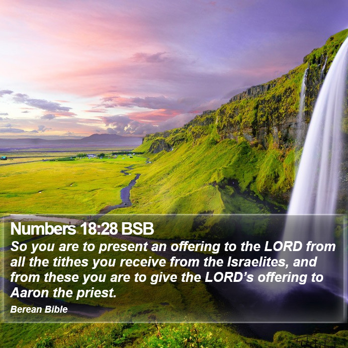 Numbers 18:28 BSB Bible Study