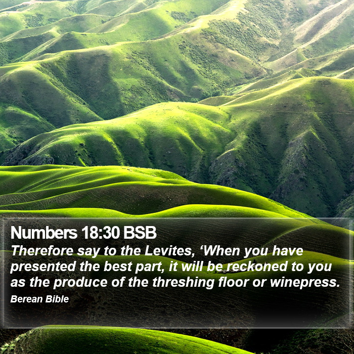 Numbers 18:30 BSB Bible Study