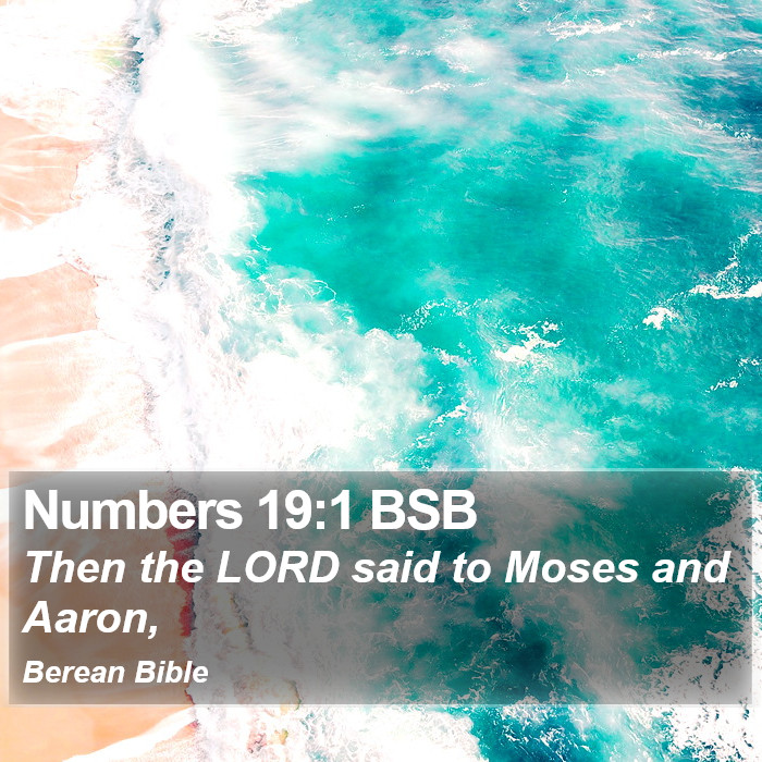 Numbers 19:1 BSB Bible Study