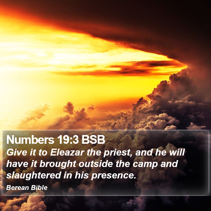 Numbers 19:3 BSB Bible Study