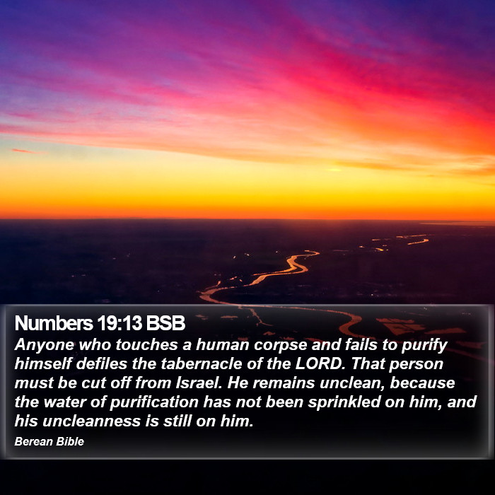 Numbers 19:13 BSB Bible Study