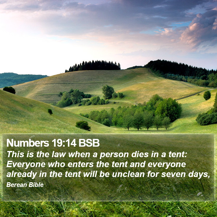 Numbers 19:14 BSB Bible Study