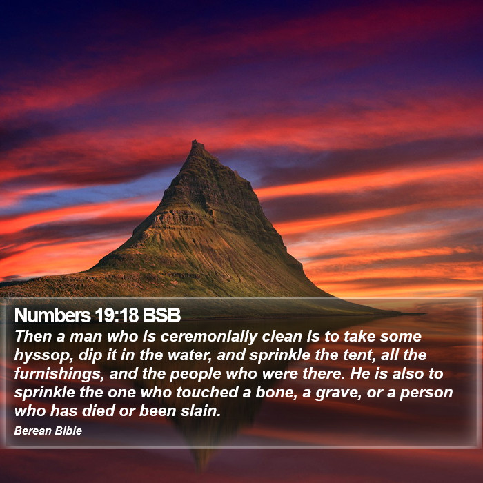 Numbers 19:18 BSB Bible Study