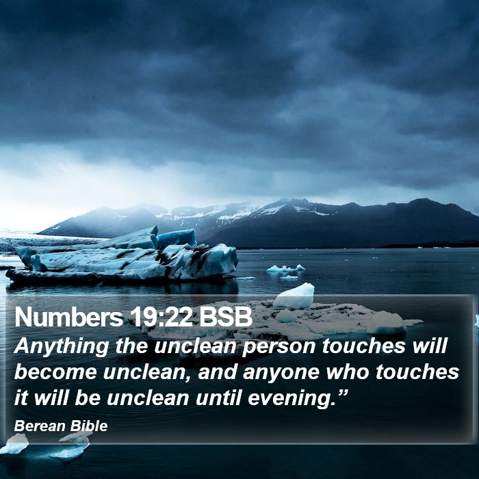 Numbers 19:22 BSB Bible Study