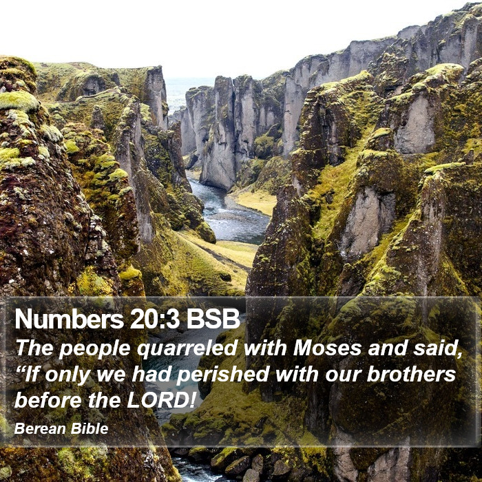 Numbers 20:3 BSB Bible Study