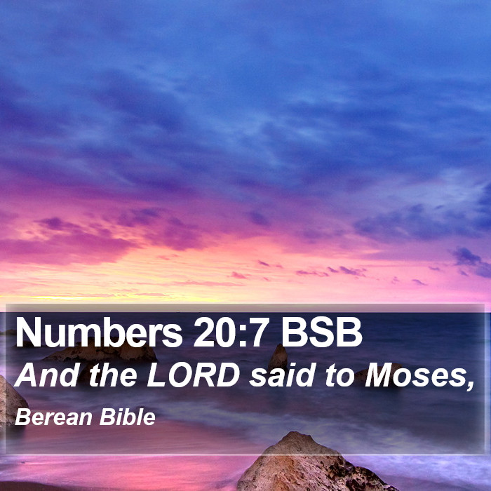 Numbers 20:7 BSB Bible Study