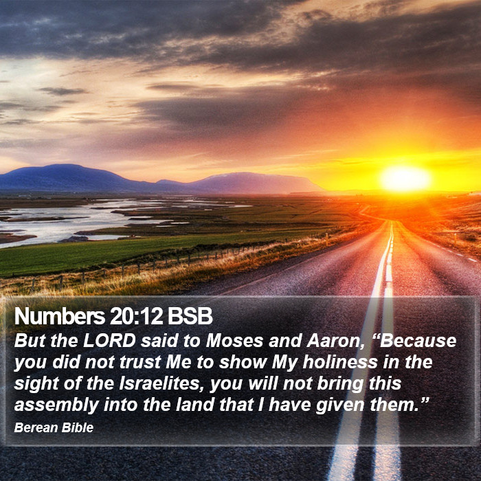 Numbers 20:12 BSB Bible Study