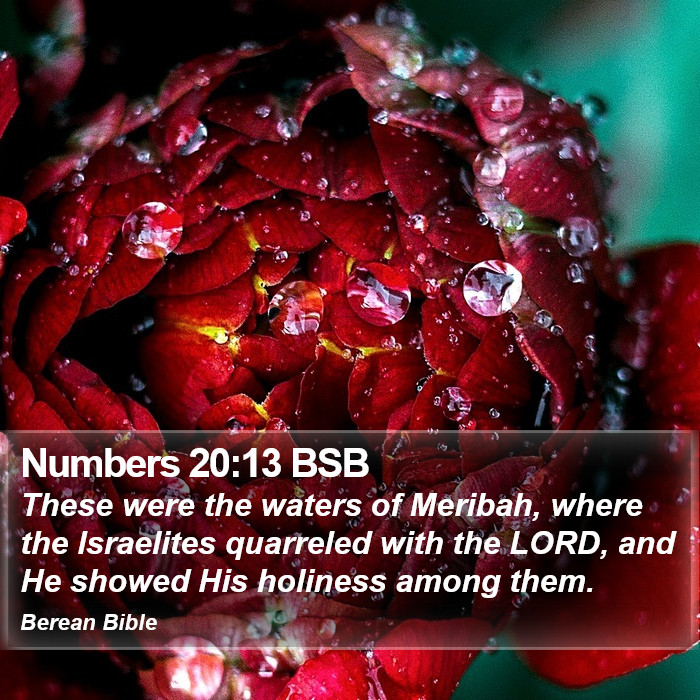 Numbers 20:13 BSB Bible Study