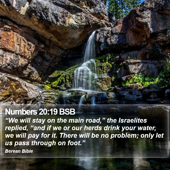 Numbers 20:19 BSB Bible Study