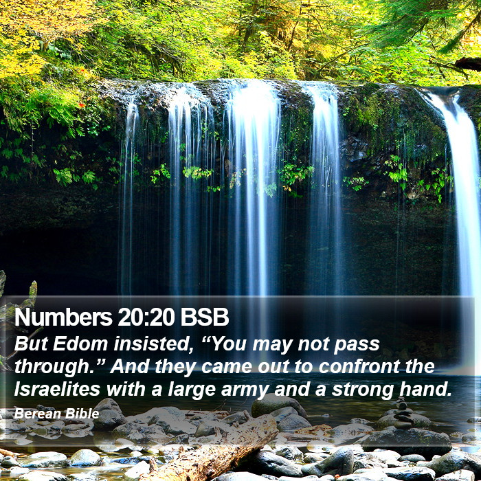 Numbers 20:20 BSB Bible Study