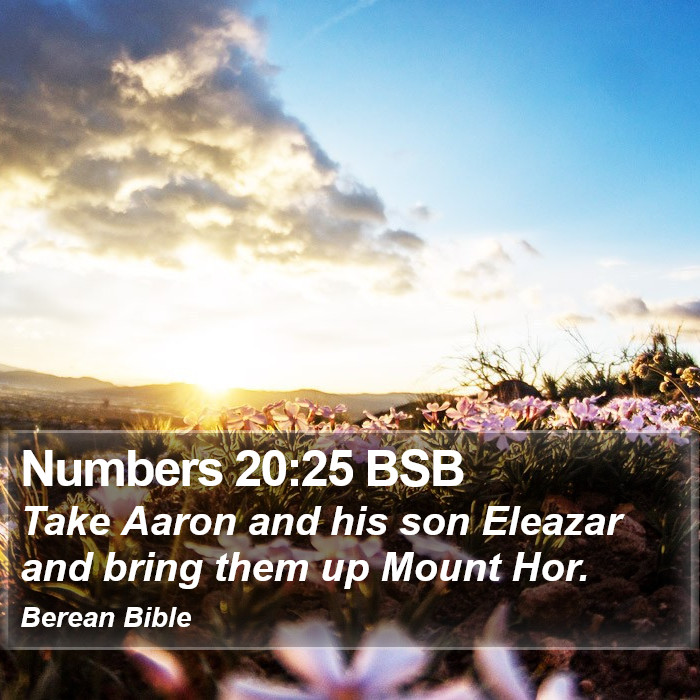 Numbers 20:25 BSB Bible Study