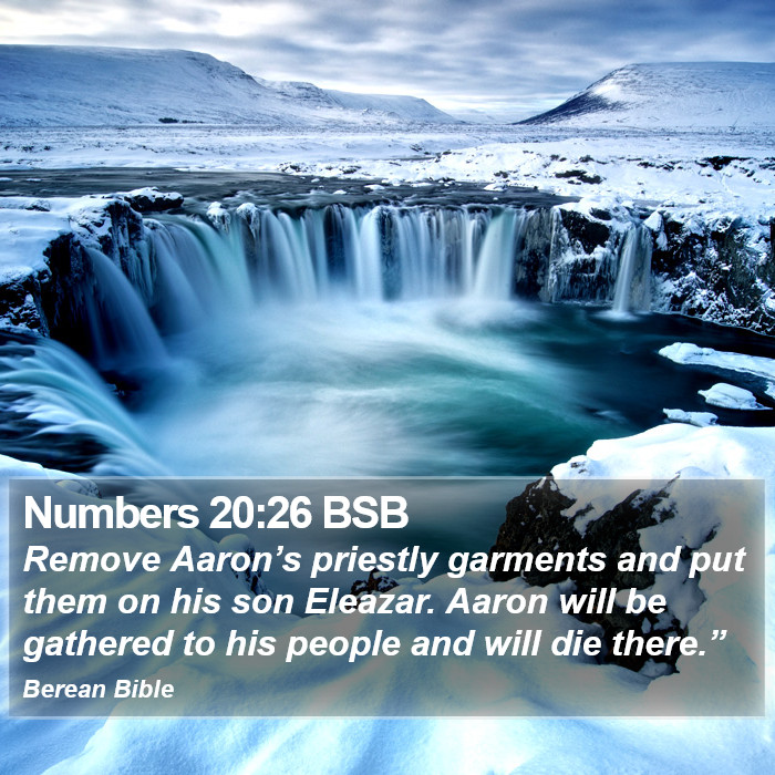 Numbers 20:26 BSB Bible Study