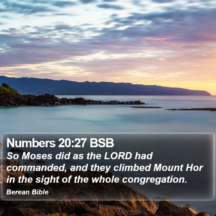 Numbers 20:27 BSB Bible Study