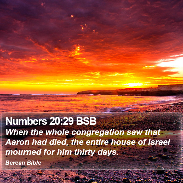 Numbers 20:29 BSB Bible Study