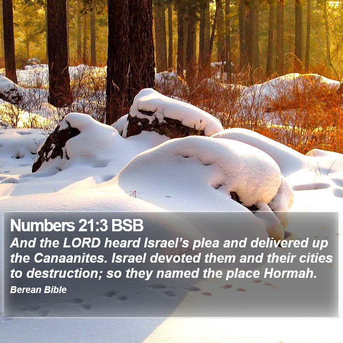 Numbers 21:3 BSB Bible Study