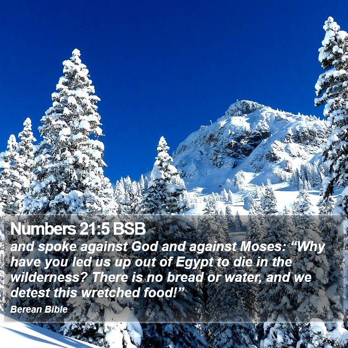 Numbers 21:5 BSB Bible Study