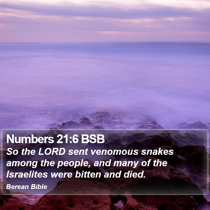 Numbers 21:6 BSB Bible Study