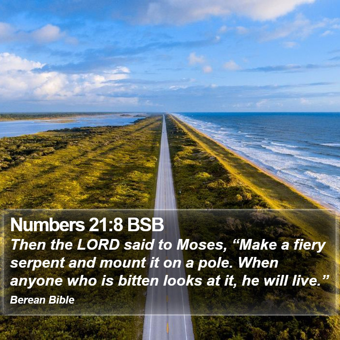 Numbers 21:8 BSB Bible Study