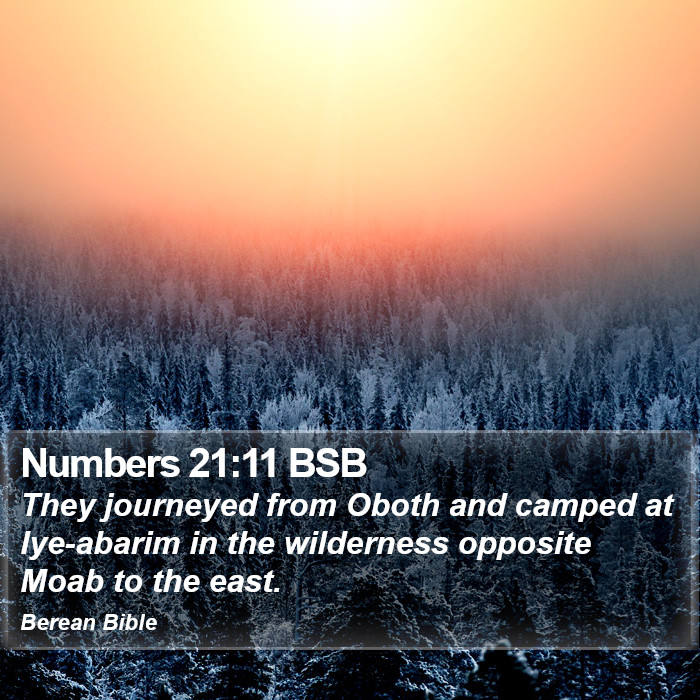 Numbers 21:11 BSB Bible Study