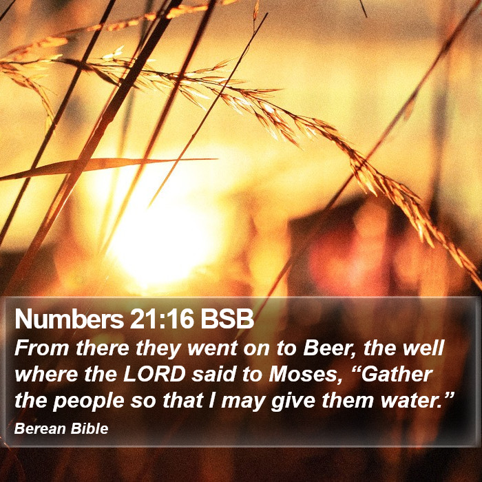 Numbers 21:16 BSB Bible Study