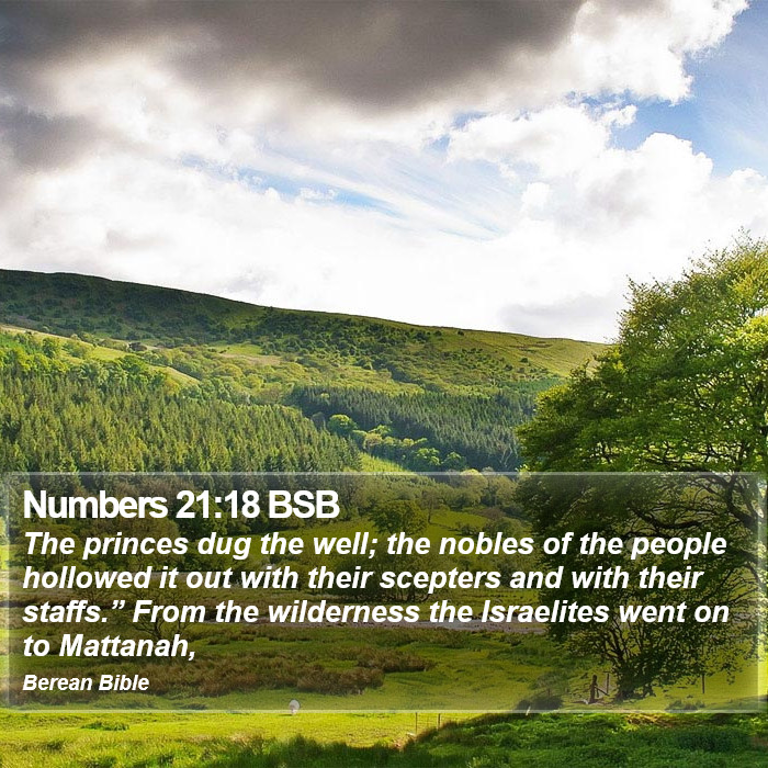 Numbers 21:18 BSB Bible Study