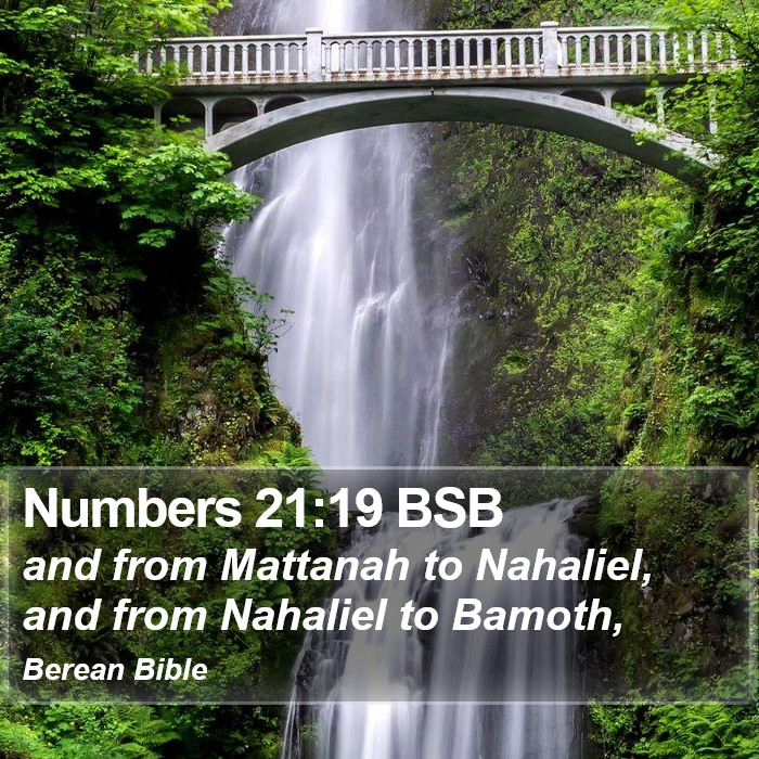 Numbers 21:19 BSB Bible Study