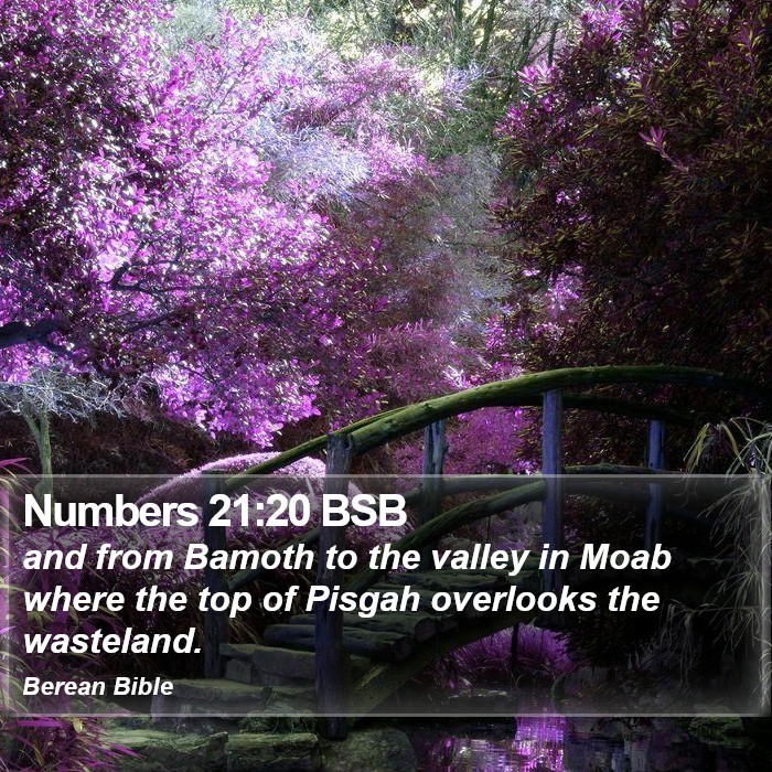 Numbers 21:20 BSB Bible Study